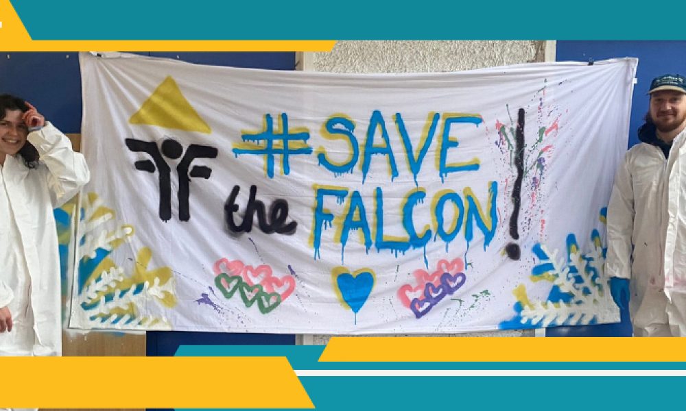 Save The Falcon Centre Campaign January Update
