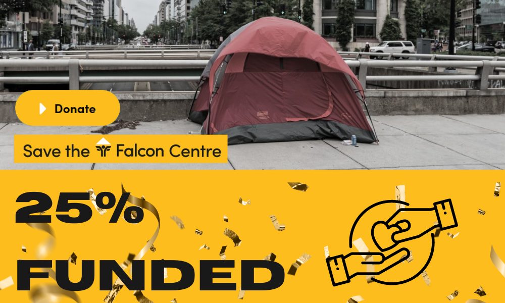 Save The Falcon Centre Campaign Update