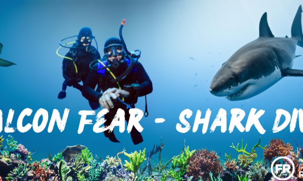 Falcon Fear - Shark Dive