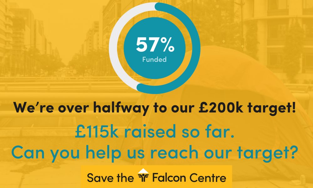 Save the Falcon Centre March Update - The Final Push